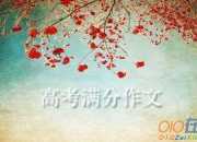 2015年中考滿分作文素材：時間與青春