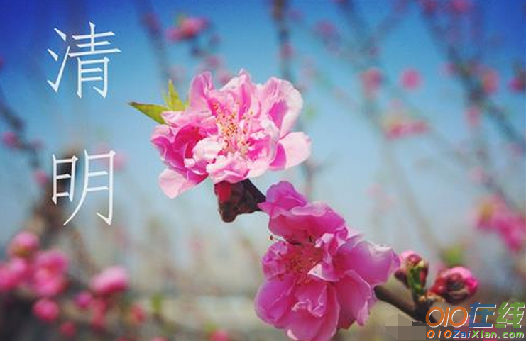 2017年清明节问候祝福语大全