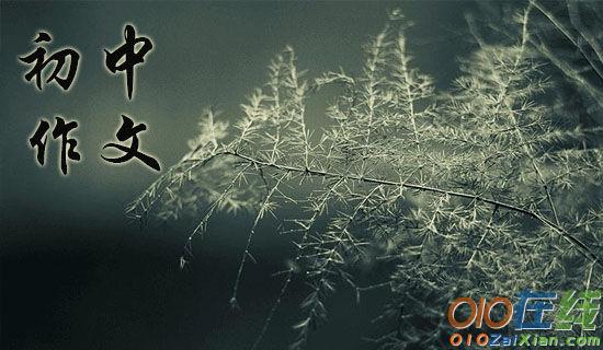 梅雪同舞，刹那芳华初中作文