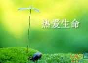 怎樣寫關于熱愛生命的作文