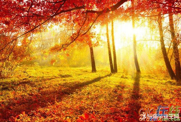 描写秋天的景色的诗