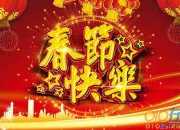 关于中国传统节日春节作文