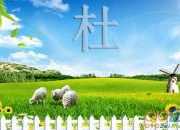 杜牧《贈別二首》譯文及賞析