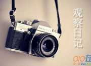 綠豆芽觀察日記：一次有趣的觀察