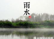 小學二年級雨水節氣諺語