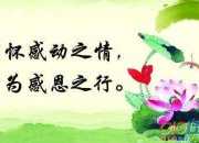 什么帶來的感動作文