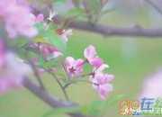 看到春的希望700字作文