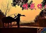 抗疫情感想小學生作文范文