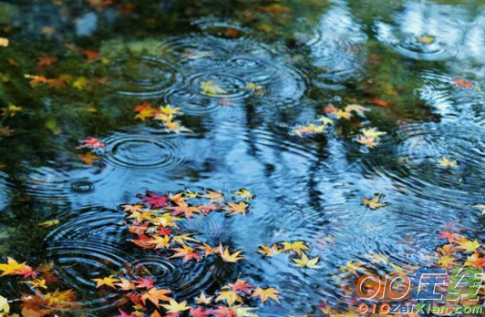 关于秋雨的古诗词