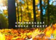女人堅強的勵志句子