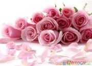 經典給女朋友送花祝福語