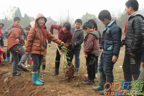 学校植树节活动总结范文