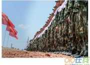 梧桐人墻詩歌