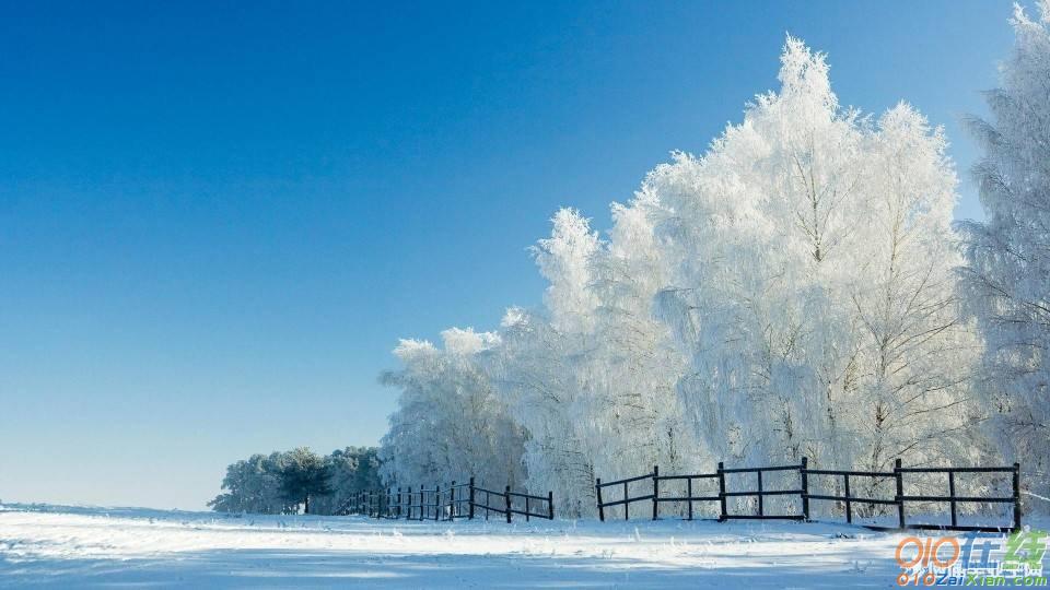 赞美雪的诗句合集