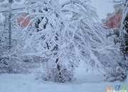 大雪節氣散文 關于大雪節氣的優美散文
