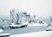 關于大雪節氣散文 大雪節氣優美散文
