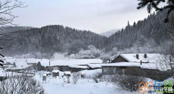 下雪的图片及句子大全