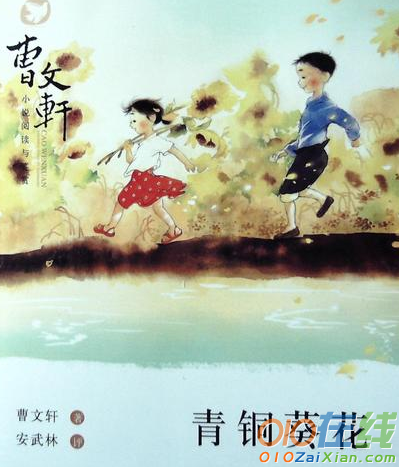 小学《青铜葵花》读后感