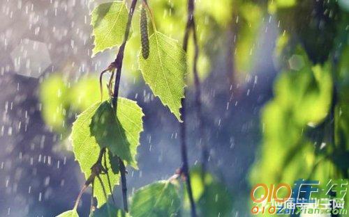 高中写雨的散文