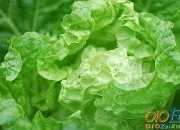 菜刀和割紙刀的寓言故事