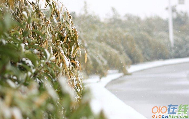 雪景的句子大全