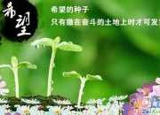 希望那些美好,我們不再失去散文