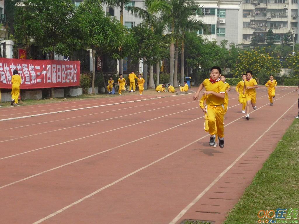 关于小学秋季运动会的通讯稿