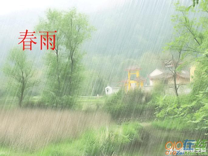 春雨天气句子