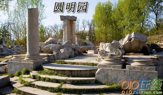 《傻狗温迪克》读后感650字