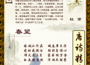 《春望》詩詞欣賞