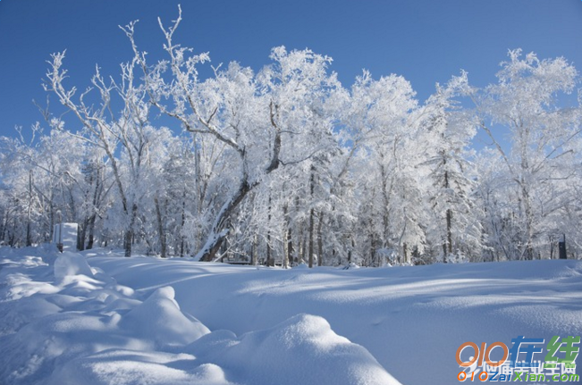 下雪注意保暖的句子