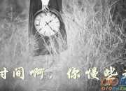 慢螞蟻與站大象 寓言故事