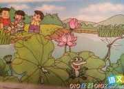 夏天的池塘看圖寫話作文（通用10篇）