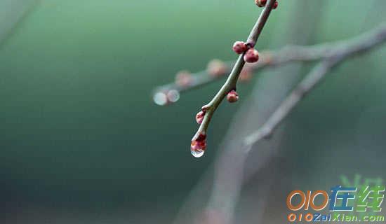 潇湘夜雨的散文欣赏