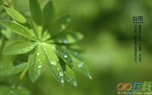 有关谷雨的古诗有哪些