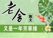 又是一年芳草綠散文