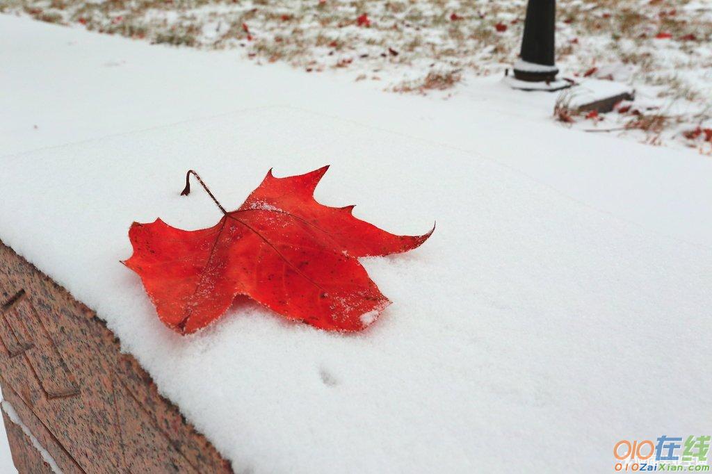 你那里下雪了吗散文