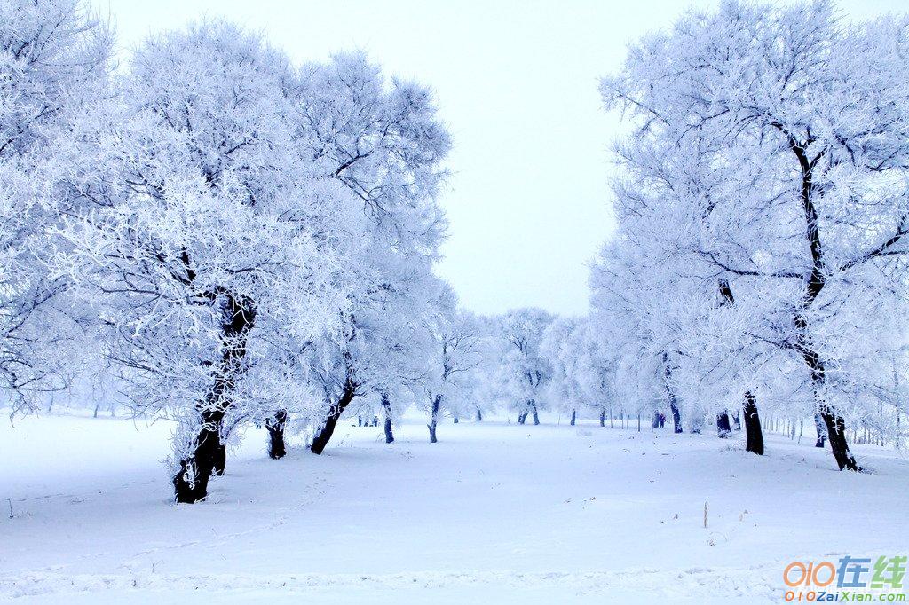 描写雪的优美句子