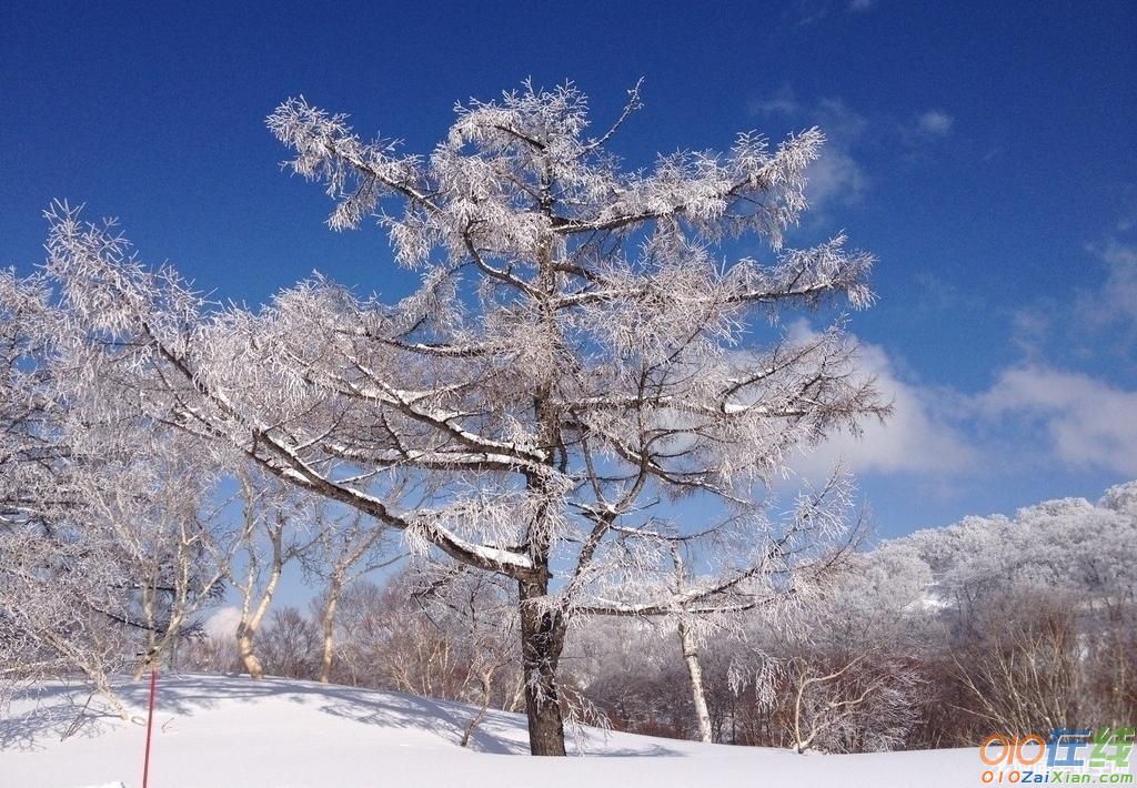 描写雪的优美句子