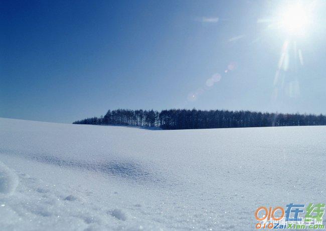 关于冬天雪花的古诗