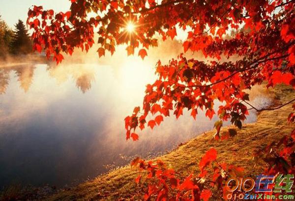 描写故乡秋天景色的诗句