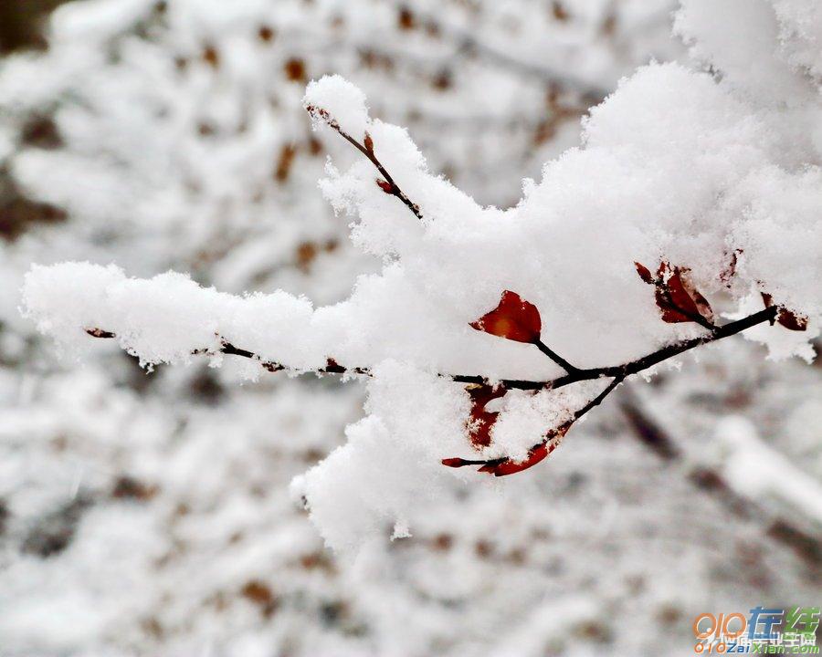 经典初雪抒情散文