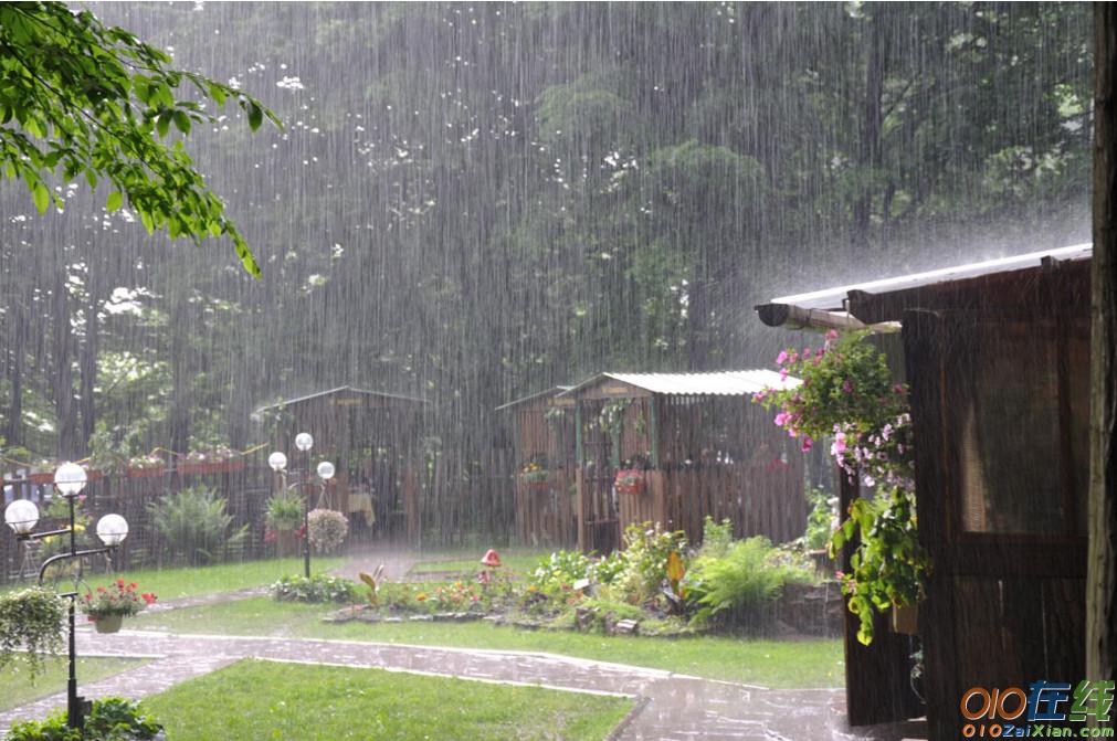 关于写雨的句子大全