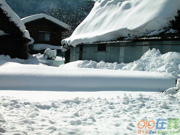 形容初春下雪的诗句