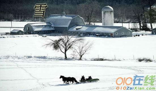 关于冬天的雪句子