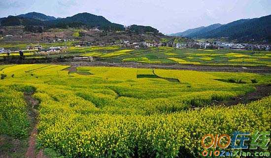 乡村的原风景散文