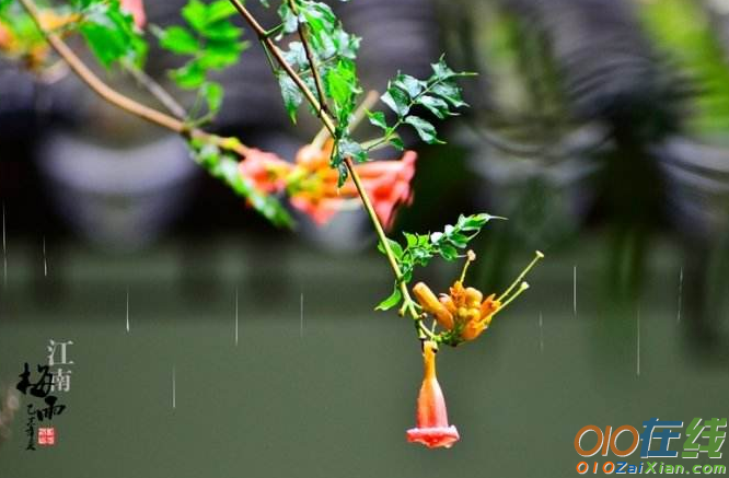 梅雨时节散文