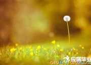 仿寫春天在哪里詩歌