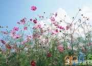致自己的話，送給自己的青春勵志語錄