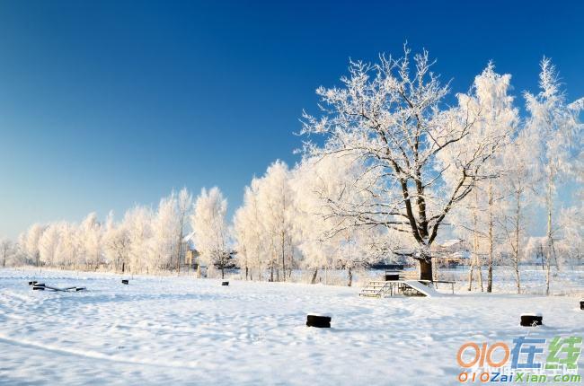 描绘冬天雪景的诗句